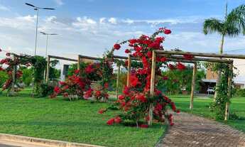 Imagem 6: Lote no Terras Alphaville em Teresina