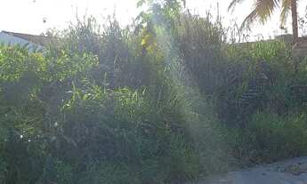 Imagem 5: Chacrinhas Pedro de Toledo SP...leia o anuncio