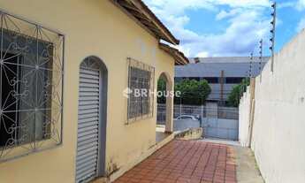 Imagem 4: Bosque da Saúde