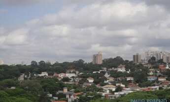 Imagem 3: COBERTURA - ALTO DA LAPA - SP