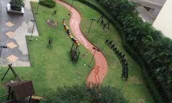 Imagem 7: Apartamento residencial à venda, Aclimação, São Paulo