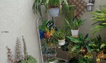 Imagem 3: Apartamento para Venda em Colombo, Maracanã, 2 dormitórios, 1 banheiro, 1 vaga