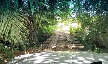 Imagem 3: URGENTE!!! Oportunidade Fazenda 2.362 ha abaixo da avaliação