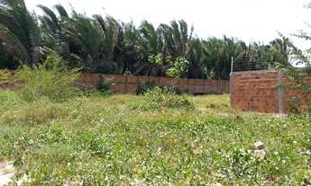 Imagem 4: Terreno no Maiobão, cada um com 300m² (10mx30m), totalizando 600m², em São José de Ribamar
