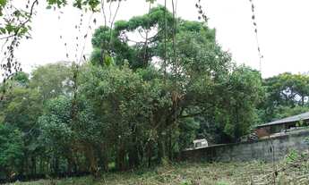 Imagem 3: Terreno para Venda em Embu das Artes, Jardim Colibri