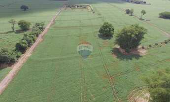 Imagem 7: Chácara à venda, 57476 m² por R$ 2.500.000,00 - Gleba Ribeirão Pinguim - Maringá/PR