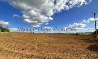 Imagem 6: Fazenda com 40 alqueires, região de Avaré - SP (Nogueira Imóveis Rurais