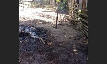 Imagem 3: Vendo esta Casa comunidade Caranazal