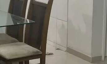 Imagem 4: Apartamento 2 quartos