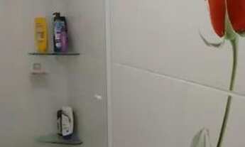 Imagem 7: Apartamento a venda - Boehmerwald (Particular