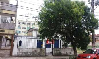 Imagem 4: Terreno em São João