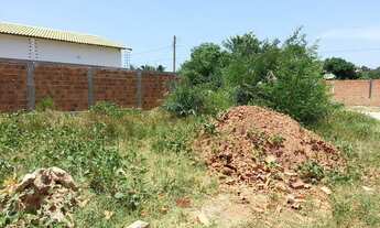 Imagem 3: Terreno no Maiobão, cada um com 300m² (10mx30m), totalizando 600m², em São José de Ribamar