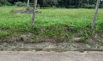 Imagem 4: Terreno para Venda em Imaruí, Figueira Grande