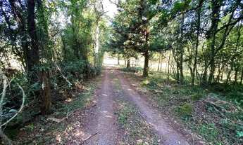 Imagem: Sítio Com Açude Em Condomínio Fechado