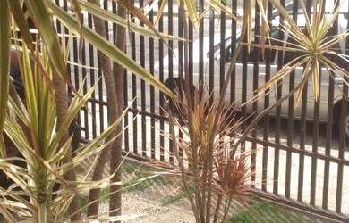 Imagem 7: Sobrado com 3 dormitórios à venda, 170 m² por R$ 500.000,00 - Jardim Ipanema - Santo André