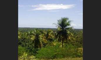 Imagem 7: Próximo ao Broma 13,00X37,00 e. 8,00X37,60