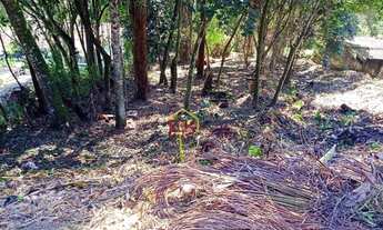 Imagem 4: Terreno à venda, 750 m² por R$ 580.000 - Vila Suíça - Ribeirão Pires/SP