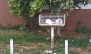 Imagem 3: Casa Residencial no Jardim América