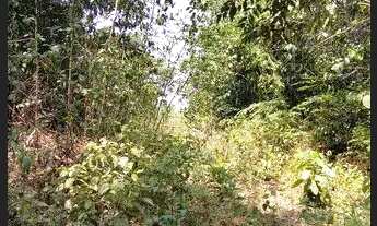 Imagem 6: /Lote em Açutuba com 4 mil m2