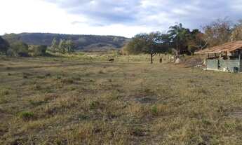 Imagem 5: Fazendinha 84 Hectares, Poço,Casa sede, Plantação Tomate!!