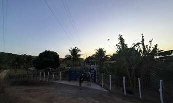 Imagem 6: Vendo sítio chácara em Unia dos Palmares