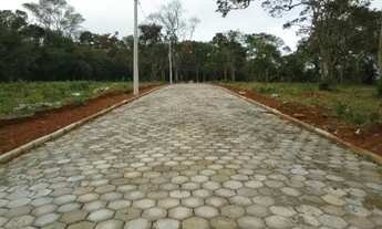 Imagem 6: Chácaras a 4 km do centro de Conselheiro Lafaiete