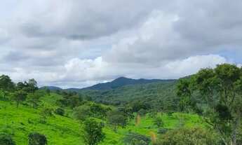 Imagem 4: Vende-se fazenada em Faina-Goias com 55 Alqueires