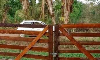 Imagem: Terreno de 3 hectares