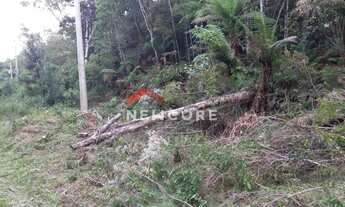 Imagem 7: Lote em Ruas Maracujás - Colinas - São Francisco de Paula/RS