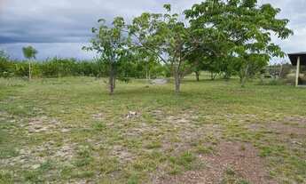 Imagem 3: Sítio na RR 432 confiança