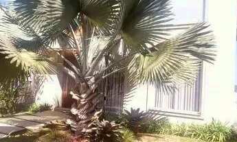 Imagem 2: BELA CASA PARA LOCAÇÃO EM ALPHAVILLE RESIDENCIAL TAMBORÉ 10