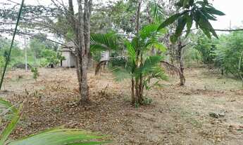 Imagem 3: VENDO TERRENO NA AM 070