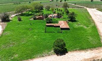 Imagem 5: Região de Jales/SP. São 66 alqueires com 55 alqueires em CANA!!!