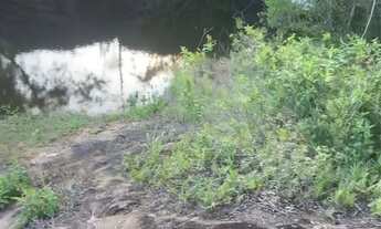 Imagem 3: Granja para 1200 Poedeiras