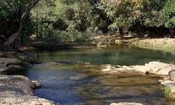 Imagem 3: Terreno ideal para chácara, um com 3.000m2 outro com 3.300m2