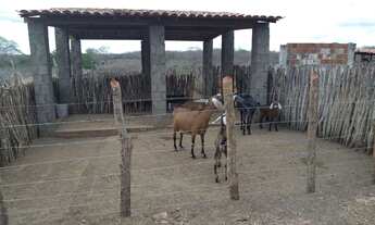 Imagem 3: Fazenda de criação pecuária