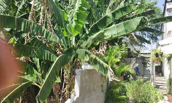 Imagem 6: Venda, terreno no Butantã, Vila Gomes