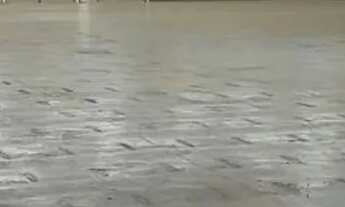 Imagem 5: Barracão para locação, na Rua Benjamin Constant, 1000 m² por R$ 35.000/mês - Centro - Lond