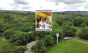 Imagem: Um alqueire em Caldas novas rica em água