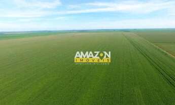 Imagem 4: Excelente fazenda no estado de Mato Grosso