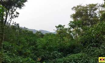 Imagem 2: Sítio / Chácara para Venda em Nova Petrópolis, Linha Olinda