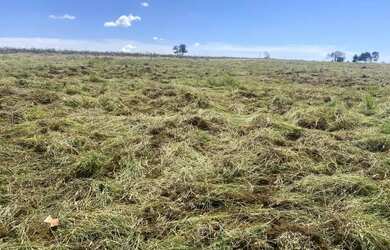 Imagem 5: Fazenda 20 Alqueires - Lavoura!