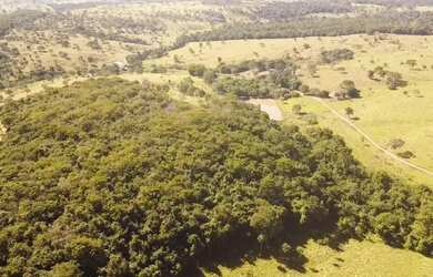 Imagem 2: Chácara 7.97 alqueires (38,57 hectares) Cromínia - GO