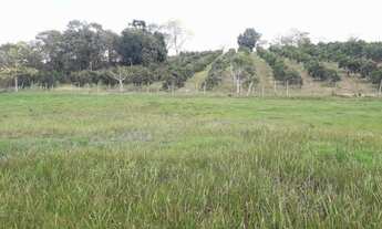 Imagem 2: Excelente sítio em São Vicente de Paula, Araruama Rj