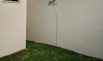 Imagem 4: Casa á venda com 3 quartos sendo 1 suíte no Residencial Azaleia em Campo Grande - MS