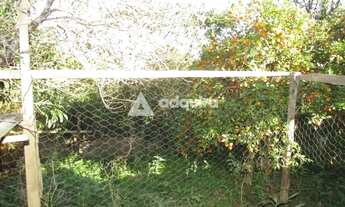 Imagem 8: Casa à venda, Piriquitos, Ponta Grossa, PR