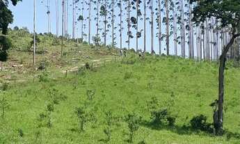 Imagem 6: Sítio arrendamento mensal