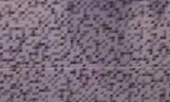 Imagem 6: Sobrado com 3 dormitórios à venda, 244 m² por R$ 880.000,00 - Jardim Utinga - Santo André