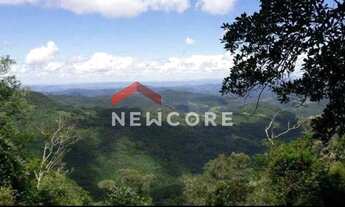 Imagem 5: Lote em Rua dos Jasmins - Colinas - São Francisco de Paula/RS