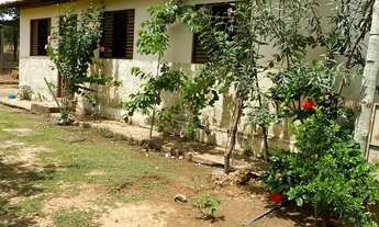 Imagem 2: Lindo sítio a venda